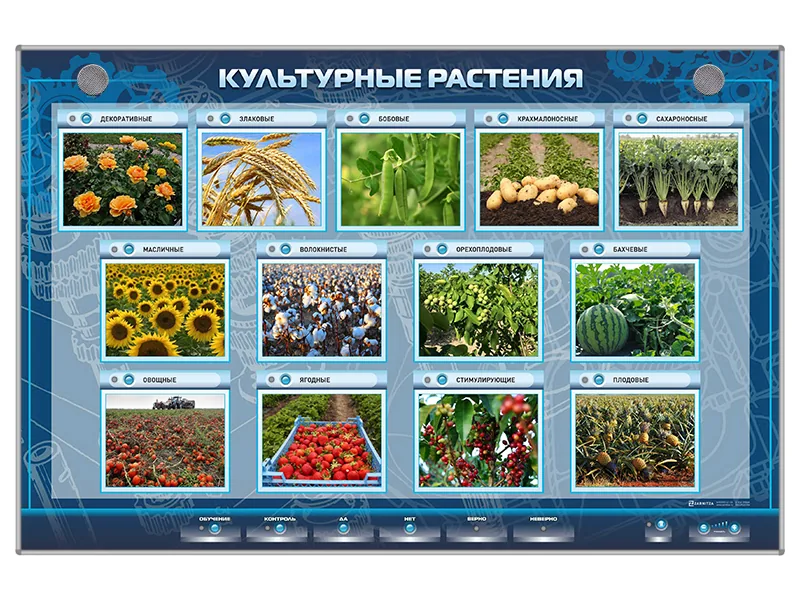 Стенд Зарница культурные растения