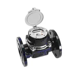 Счетчик Aquametro RUBIN MeiStream Plus 150
