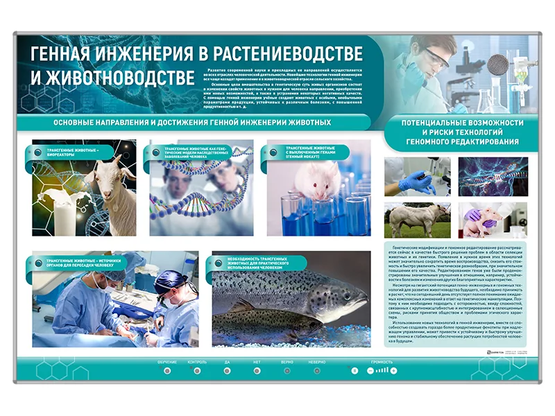 Стенд Зарница генная инженерия