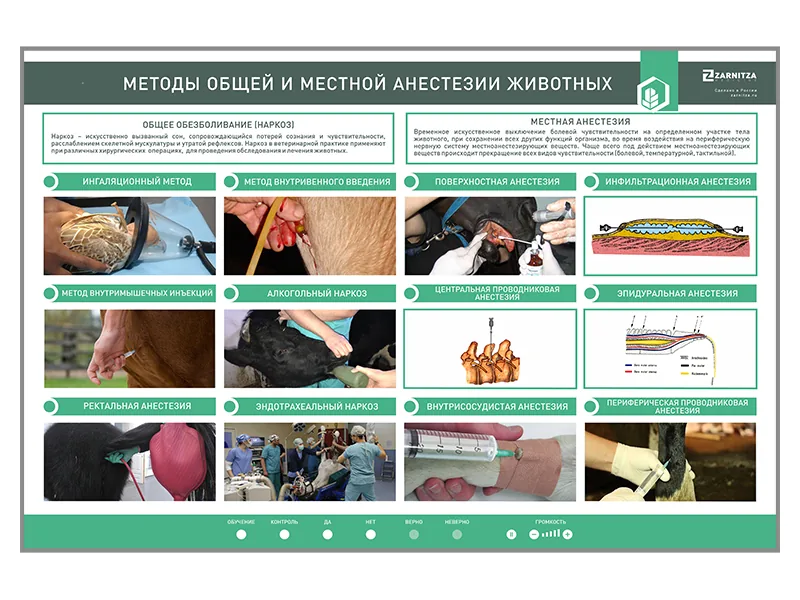 Стенд Зарница методы общей и местной анестезии
