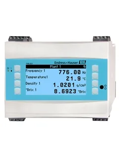 Преобразователь Endress+Hauser FML621