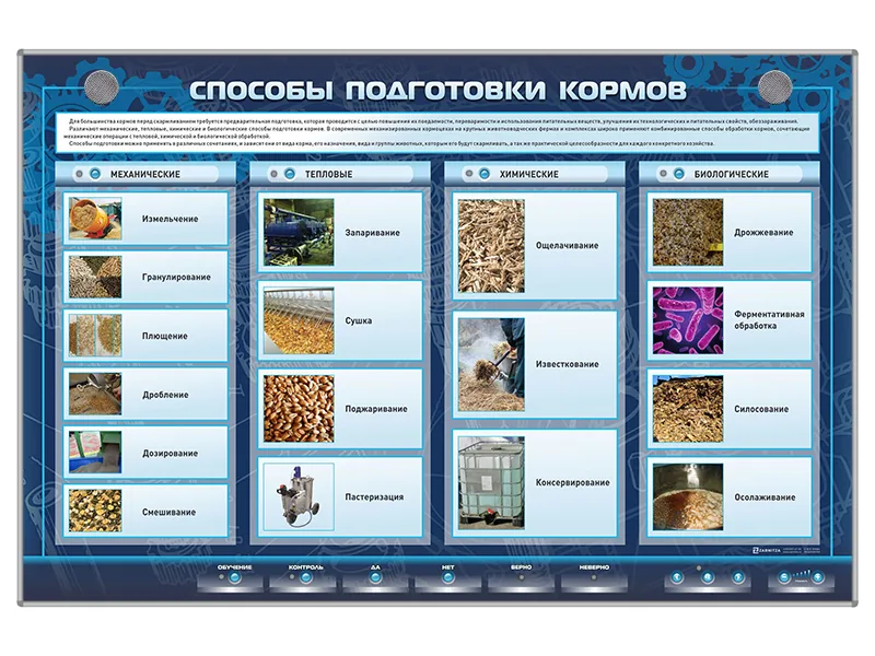 Стенд Зарница способы подготовки кормов